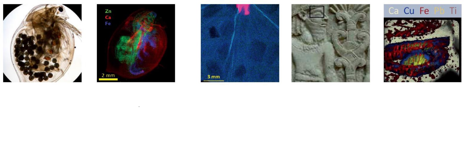 カラーX線カメラ（CXC）