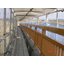 Scaffolding for bridge repair work "Single Pipe Hoop Scaffolding"