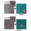 Case Study 2 of AI Image Inspection Service: Surface Inspection Process of Mirrors