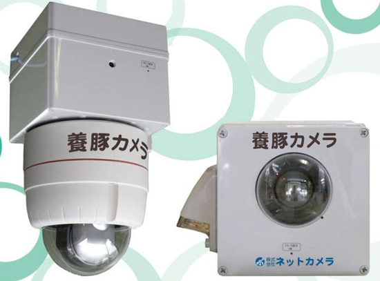 豚舎見守りシステム『養豚カメラ』
