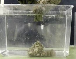 水中不分離性コンクリート用混和剤『太平洋エルコン』 | 太平洋