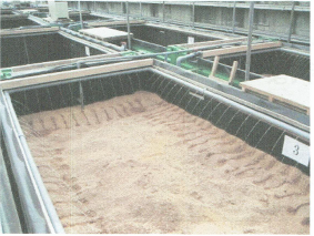 汚泥減量システム『きぼう』