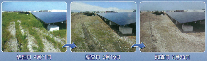 土壌処理型除草剤『セットアップDF』