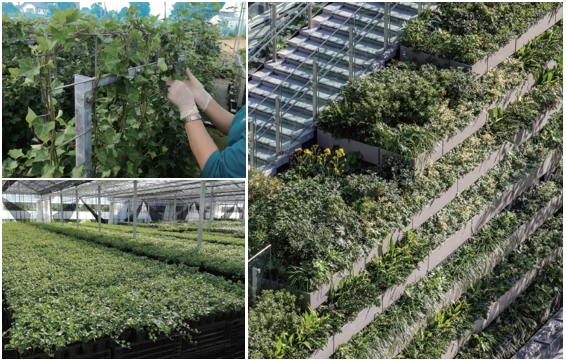 グリーニアンのみどりのしごと