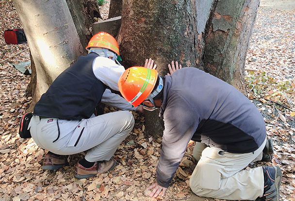 緑地メンテナンス