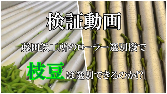 自動選別機【動画で紹介シリーズ】枝豆の大きさを選別してみました！