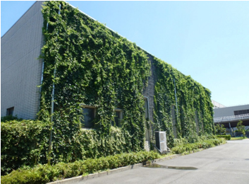 パネル型 壁面緑化システム「のぼるtoみどり」
