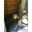 Wet spray application method 'SF Method' for bridge piers, ceilings, and columns.