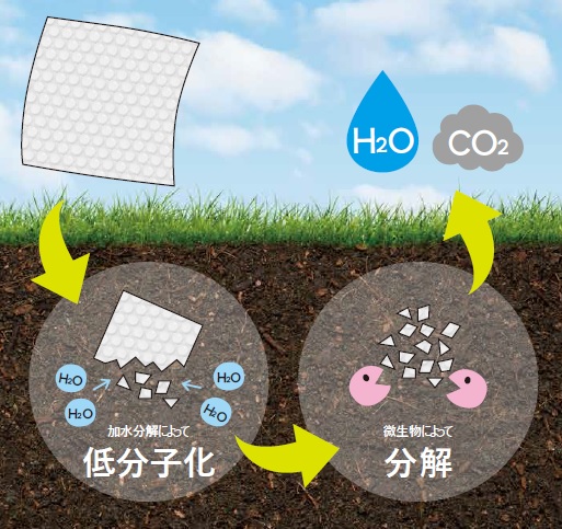 完全に 生分解性するプチプチ「生分解性プチ(R)」 | 川上産業