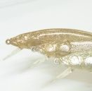 高輝性顔料・偏光顔料　「メタシャイン」