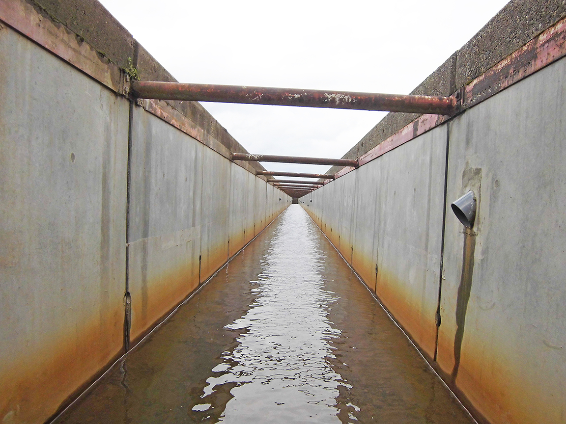 工法『シートパイル・ガード工法』