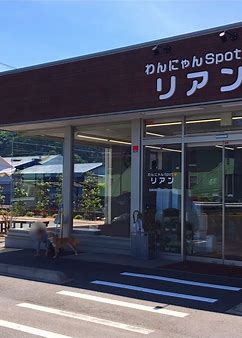 【香りを導入した経緯】ペットショップ：わんにゃんSpotリアン　