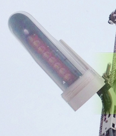 防犯灯『オルトライトELN-YT-002(YTシリーズ)』