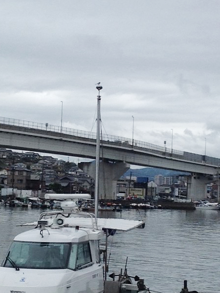 【PDCE避雷針導入事例】一般船舶