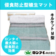 キルケットM型サムネ写真.png