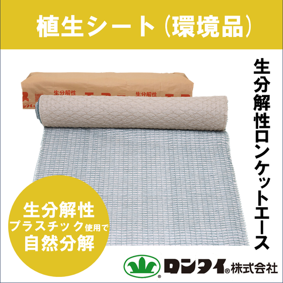 生分解エースサムネ.png