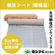 生分解エースサムネ.png