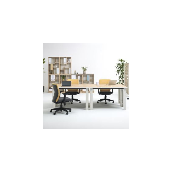 Holis imagecut５.jpg