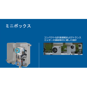 GRP (FRP) manufactured enclosure - mini box