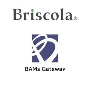 APIマネジメント製品  - BAMs Series 