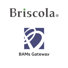 APIマネジメント製品  - BAMs Series 