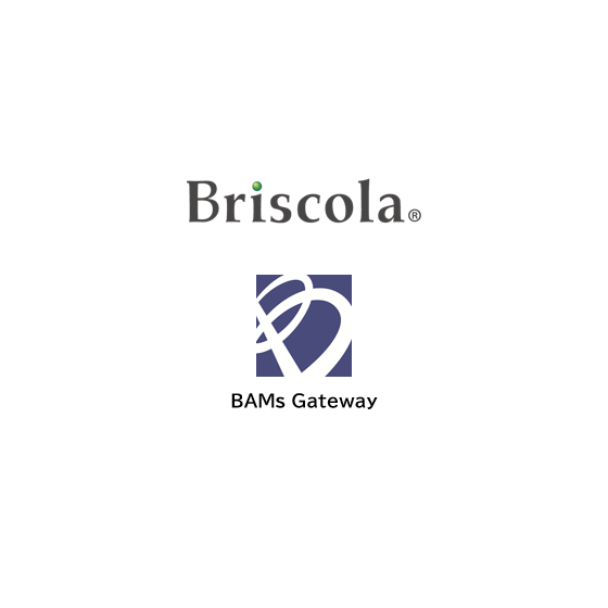 BAMsGateway_w_logo.png