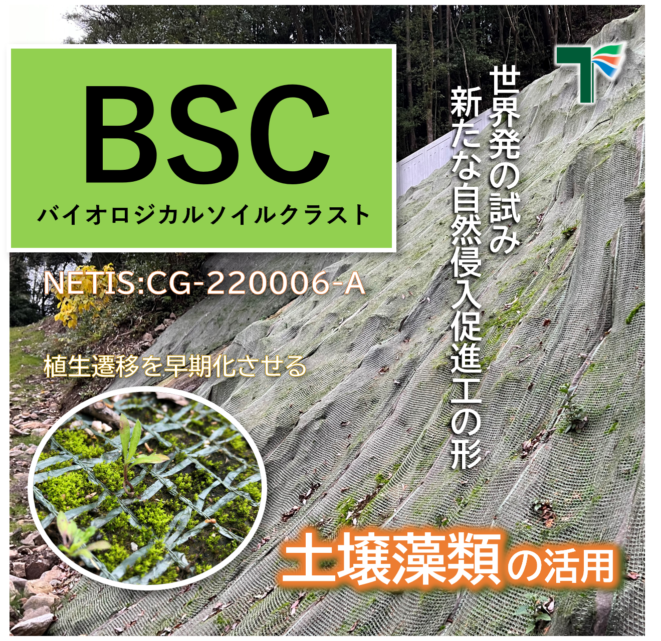 BSCマット〔自然侵入促進型植生マット〕