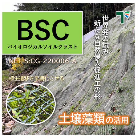BSCi.png