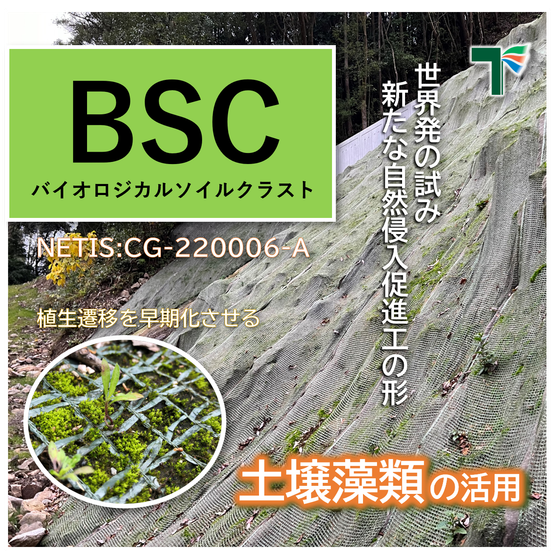 BSCi.png