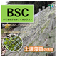 BSCi.png