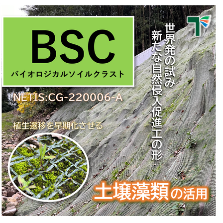 BSC画像.png