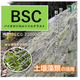 BSC画像.png