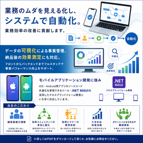 System development services