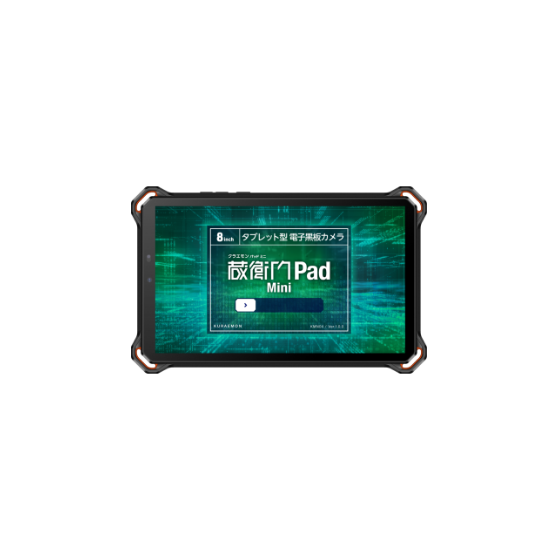 priceinfo_PadMIni@2.png