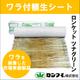 ツナグリーンサムネ写真.png