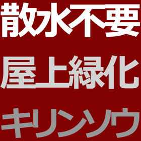 屋上緑化 散水不要の簡単屋上緑化 常緑キリンソウ袋方式屋上緑化