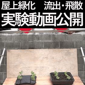 屋上緑化システム　土壌流出実験　トレー式VS常緑キリンソウ袋方式