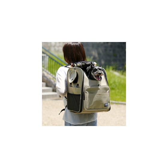 IPROS kyari-baggu modern image.jpg