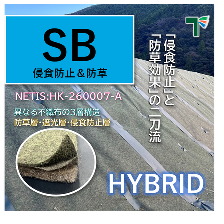 SB画像.png