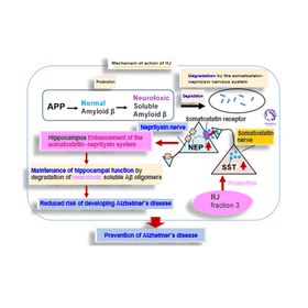 Tohoku Univ. Technology：Method for producing royal jelly fraction：T18-424