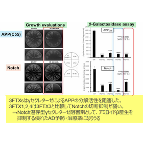 Tohoku Univ. Technology : Novel Peptide Inhibitors for Alzheimer&rsquo;s disease : T21-307
