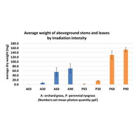 Tohoku Univ. Technology：Balancing solar power generation and agriculture：T16-212