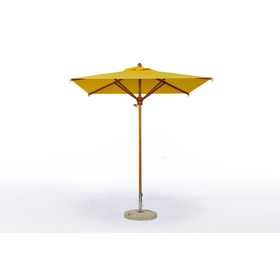 IPROS bouennparasoru pl2020.png