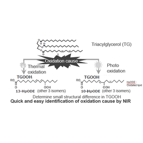 Tohoku University Technology: Identification method of the cause for fat and oil oxidation: T21-195