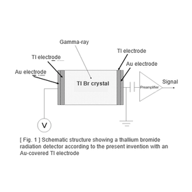 Tohoku Univ. Technology:Permanent use type Thallium bromide radiation detector:T07-141