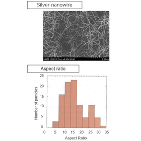 Tohoku Univ. Technology：Metal Nanowire and its manufacturing method：T13-020