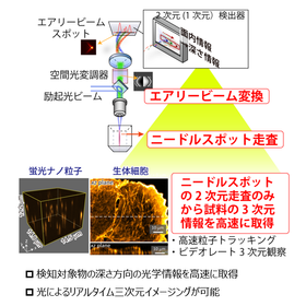 東北大学技術：光学情報検知装置及び顕微鏡システム：T15-198