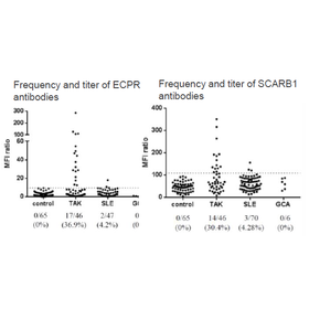Tohoku University Technology: Takayasu arteritis diagnostic marker: T17-007