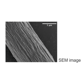 Tohoku Univ. Technology:Fabrication of cellulose single filaments: T23-035