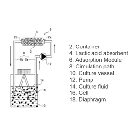 Tohoku Univ. Technology：Lactic acid Adsorbent and method for removing Lactic acid：T19-083_T19-455_T19-456